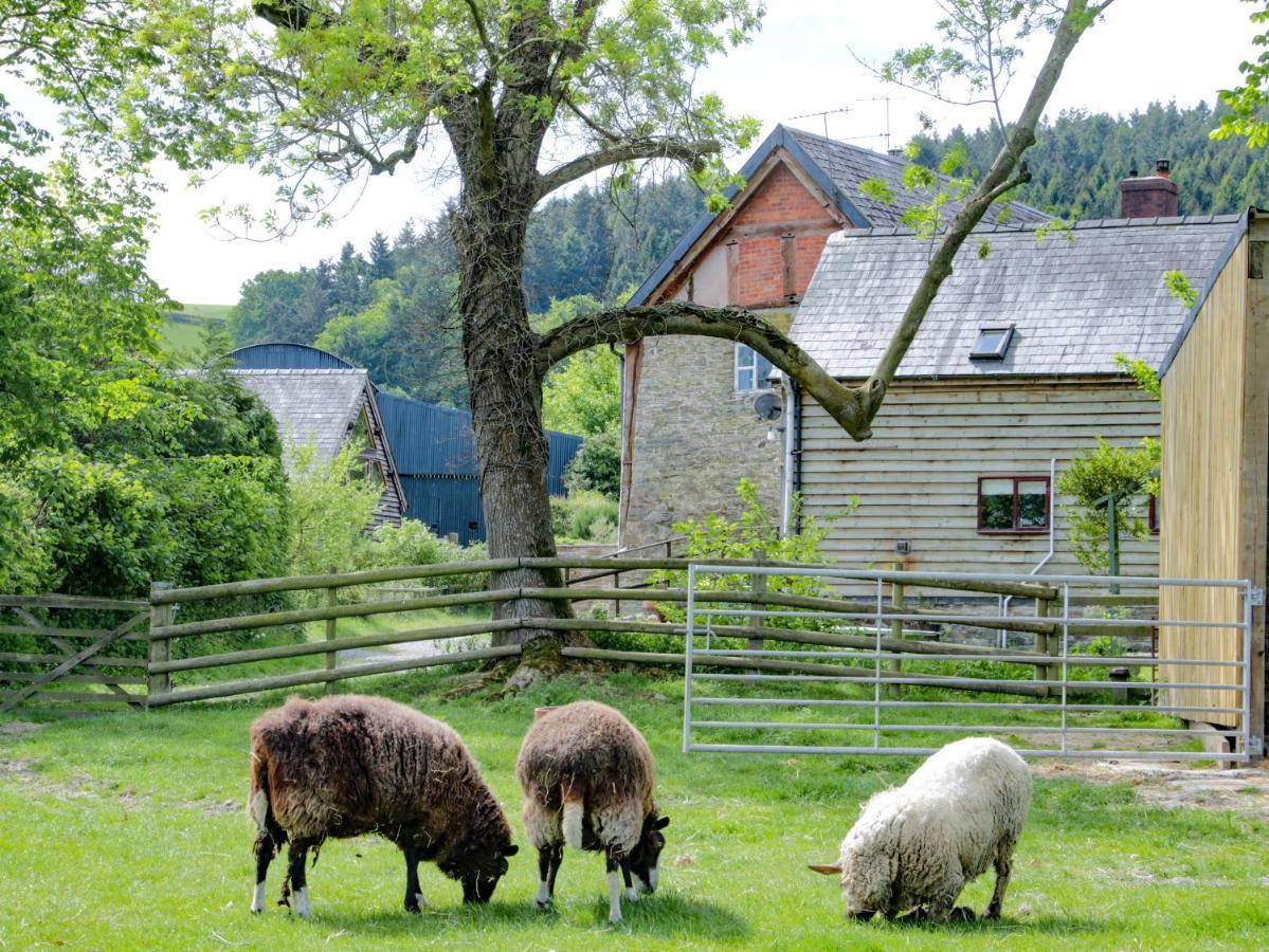 Villa Broughton Stables Montgomery Esterno foto